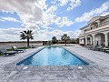 Prêt maintenant, villa spectaculaire avec piscine, maison d'amis et bar! in Alicante Property