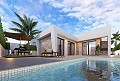 Lux villa in Roldan in Alicante Property