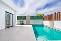 Lux villa in Roldan in Alicante Property