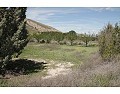 Lovely 3 Bedroom 2 Bathroom Country House in Villena. in Alicante Property