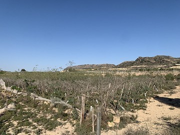 Parcela edificable cerca de Monforte del Cid