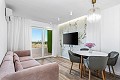 Apartamento de 2 dormitorios en Punta Prima in Alicante Property