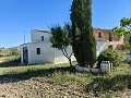Gran oportunidad de casa de campo en las afueras de Pinoso in Alicante Property