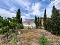 Gran oportunidad de casa de campo en las afueras de Pinoso in Alicante Property