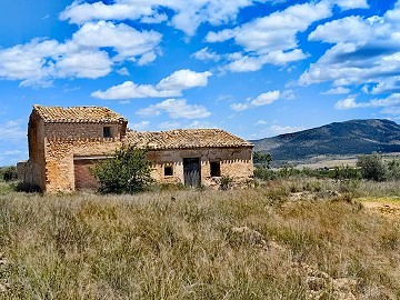 Ruine in Pinoso mit genügend Land zum Bau einer neuen Immobilie