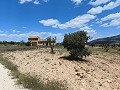 Ruine in Pinoso mit genügend Land zum Bau einer neuen Immobilie in Alicante Property
