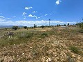 Ruine in Pinoso mit genügend Land zum Bau einer neuen Immobilie in Alicante Property