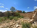 Ruine in Pinoso mit genügend Land zum Bau einer neuen Immobilie in Alicante Property