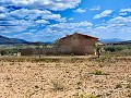 Ruine in Pinoso mit genügend Land zum Bau einer neuen Immobilie in Alicante Property