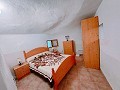 Maravillosa Casa Cueva con Terreno a tan solo 10 minutos de Pinoso in Alicante Property