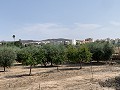 Villa con piscina privada, 3 dormitorios, garaje independiente y olivos. in Alicante Property