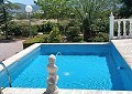 Fabulous 4 Bed Villa with Self-Contained Guest House in Sax. in Alicante Property