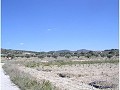 Plot of land for sale in (Rincon Del Moro.) Sax in Alicante Property