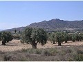Plot of land for sale in (Rincon Del Moro.) Sax in Alicante Property