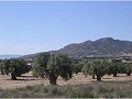 Plot of land for sale in (Rincon Del Moro.) Sax in Alicante Property