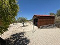 Encantadora propiedad rural cerca de Castalla: ideal para una casa familiar o una oportunidad de alojamiento y desayuno. in Alicante Property