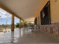 Villa con 4 dormitorios y 2 baños, amplia parcela con espacio para piscina, establos o negocio. in Alicante Property