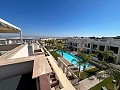 Stunning Top Floor Apartment in Alicante Property