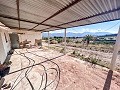 Finca con más de 20.000 m²  de Terreno con Amplias Posibiliades in Alicante Property