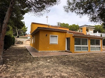 Completely Renovated Villa 