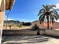 Projet de rénovation d'une bodega avec éléments d'origine in Alicante Property
