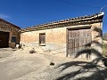 Projet de rénovation d'une bodega avec éléments d'origine in Alicante Property