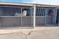 Lovely 3 Bed 1 bath Equestrian property in Monovar. in Alicante Property
