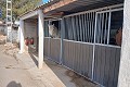 Lovely 3 Bed 1 bath Equestrian property in Monovar. in Alicante Property