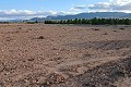 Building plot in Yecla. in Alicante Property