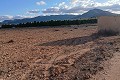 Building plot in Yecla. in Alicante Property