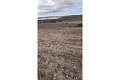 Gigantic building plot in Yecla. in Alicante Property