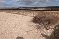 Gigantic building plot in Yecla. in Alicante Property