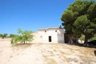 Landhuis met 100.000M2 olijven en amandelen in Alicante Property