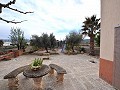 Amazing fully reformed country house in Salinas (near Sax) in Alicante Property