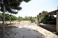 Detached Country House with a pool close to town in Alicante Property