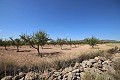 Building plot of land with almond trees in Alicante Property