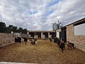 Large Stable complex - suitable to go with 13415 in Alicante Property