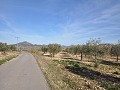 15,000m2 of building land in Salinas with water - electric close in Alicante Property