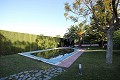 Große freistehende Villa mit Pool in Loma Bada, Alicante in Alicante Property