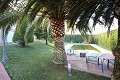 Grote vrijstaande villa met zwembad in Loma Bada, Alicante in Alicante Property
