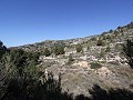 3 Bed 2 Bath Country Villa in a national park in Alicante Property