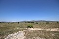 Large Country House with marble business and grape plantation in Alicante Property