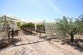 Large Country House with marble business and grape plantation in Alicante Property