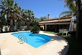 Large Villa with a pool and garden in Alicante Property