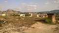 12,441m2 Finca in Raiguero de Bonanza, Orihuela in Alicante Property