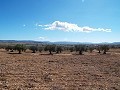 10,500m2 Plot of Land with mains water in Alicante Property