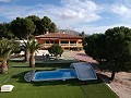 Large Detached Villa with a pool close to town in Elda-Petrer in Alicante Property