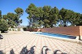 Stunning Detached Villa with a second house, walking distance to Monovar in Alicante Property