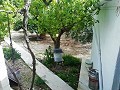Mooie villa in Ricabacica, Abanilla + olijfgaard in Partidor in Alicante Property
