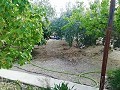 Preciosa Villa en Ricabacica, Abanilla + olivar en Partidor in Alicante Property